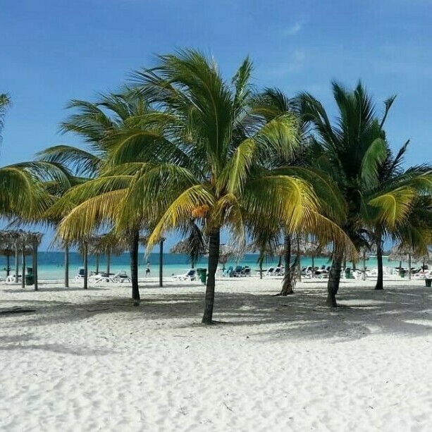 пальмы на пляже кайо-коко