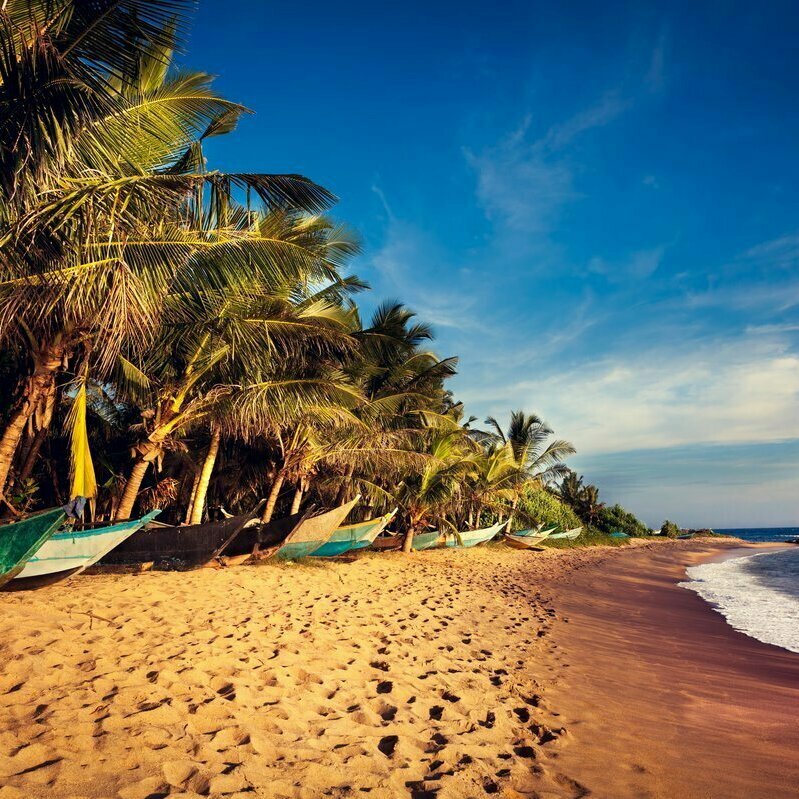 пляж Шри-Ланка