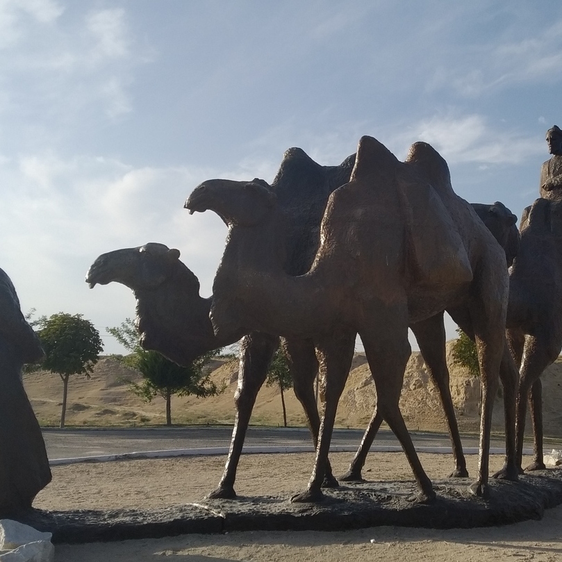 верблюды самарканд