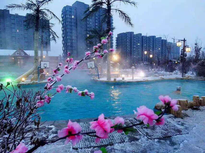 ИСТОЧНИКИ "БЭЙГО" (Г.ДАЦИН)&nbsp;